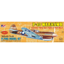 CURTISS P-40 WARHAWK KIT Free Flight Model Airplane (420 mm)